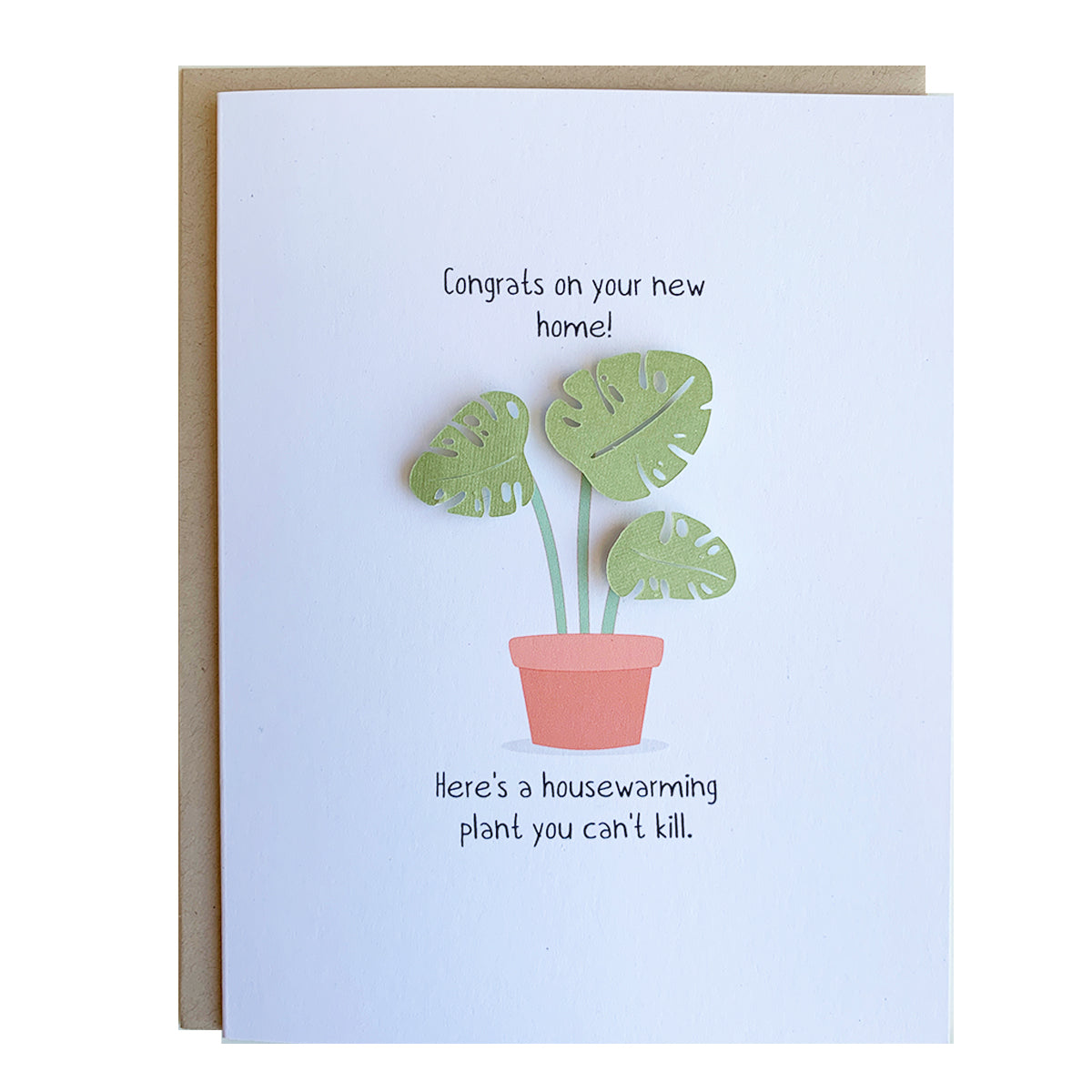 HOUSEWARMING PLANT | WHOLESALE