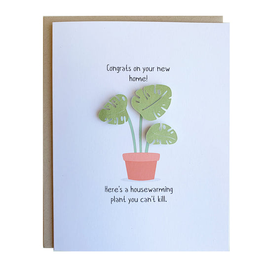 HOUSEWARMING PLANT | WHOLESALE