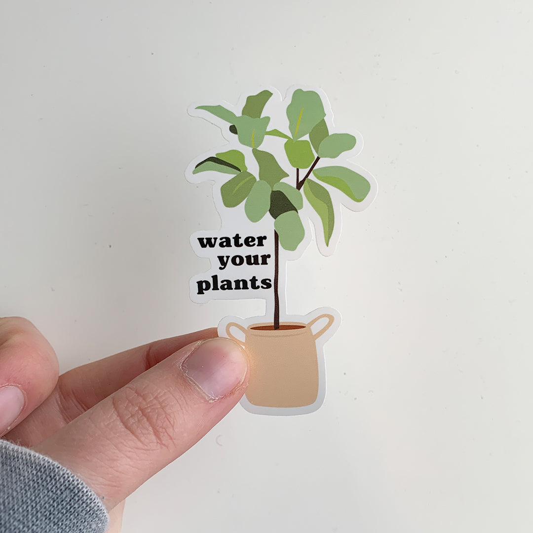 WATER YOUR PLANTS
